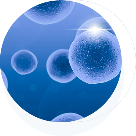 宝运莱·(中国区)官方网站