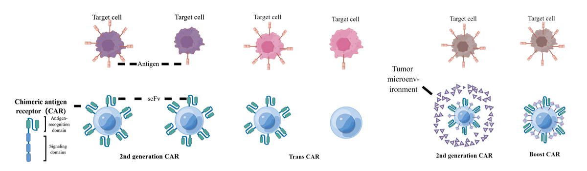 宝运莱·(中国区)官方网站