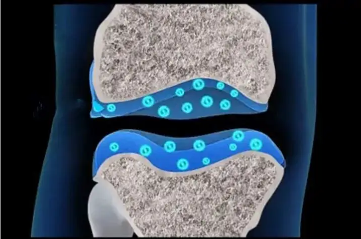 宝运莱·(中国区)官方网站