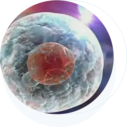 宝运莱·(中国区)官方网站