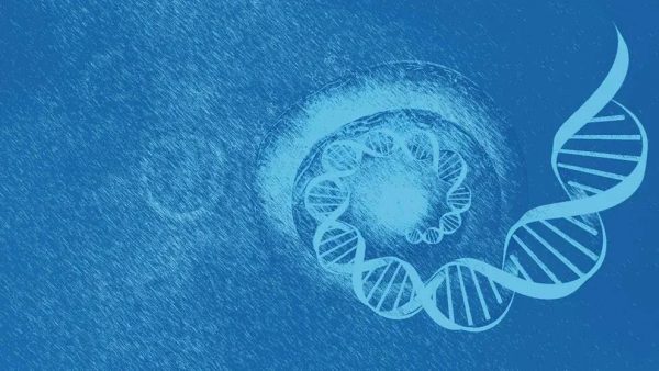 宝运莱·(中国区)官方网站