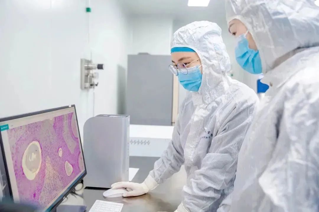 宝运莱·(中国区)官方网站