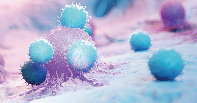 宝运莱·(中国区)官方网站