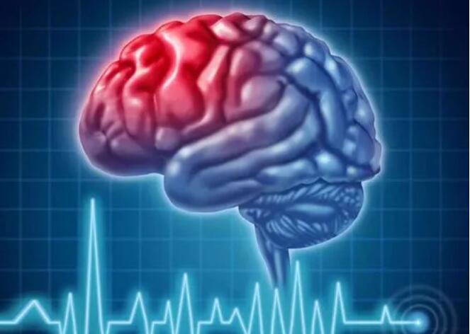 宝运莱·(中国区)官方网站