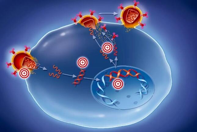 宝运莱·(中国区)官方网站