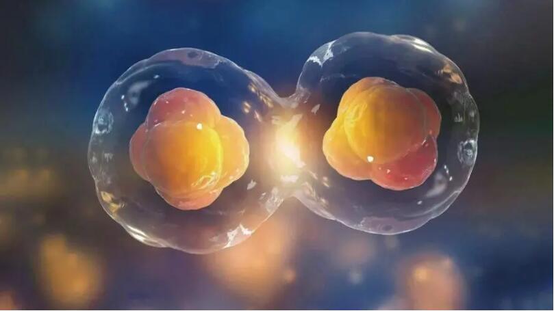 宝运莱·(中国区)官方网站