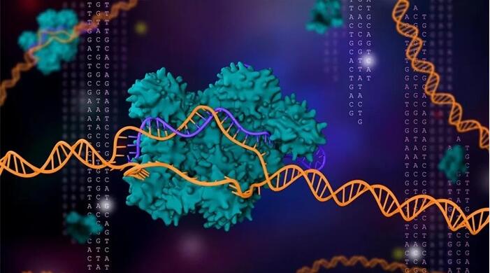 宝运莱·(中国区)官方网站