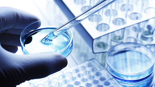 宝运莱·(中国区)官方网站