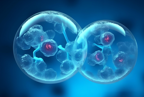 宝运莱·(中国区)官方网站