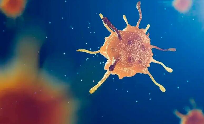 宝运莱·(中国区)官方网站