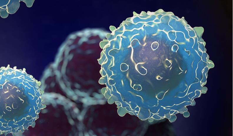 宝运莱·(中国区)官方网站