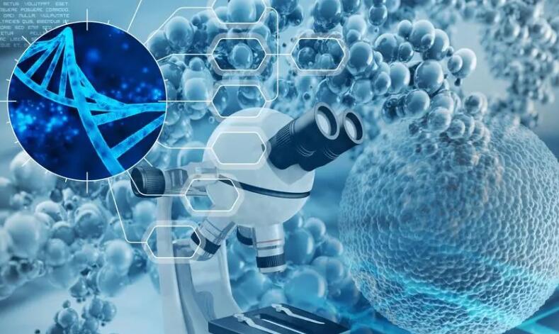 宝运莱·(中国区)官方网站