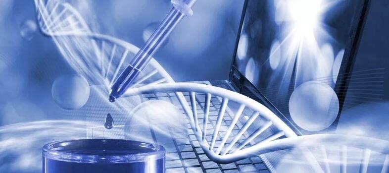 宝运莱·(中国区)官方网站