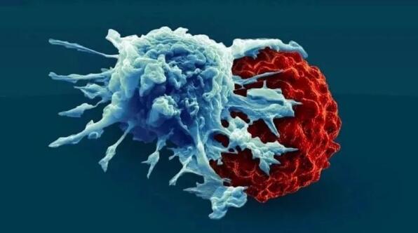 宝运莱·(中国区)官方网站