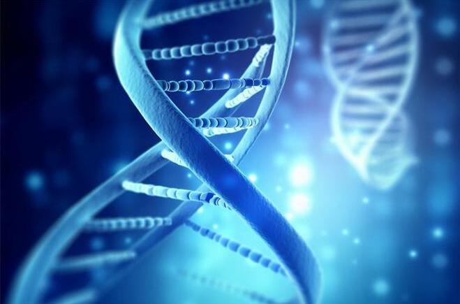 宝运莱·(中国区)官方网站