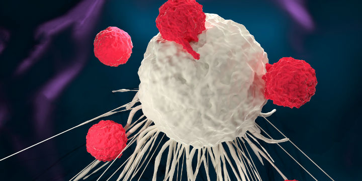 宝运莱·(中国区)官方网站