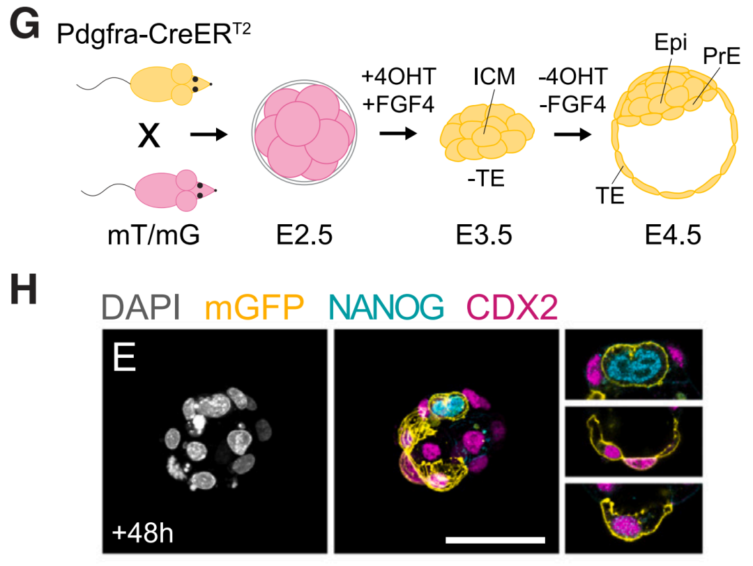 宝运莱·(中国区)官方网站