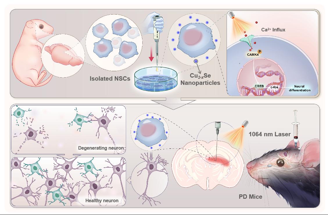 宝运莱·(中国区)官方网站