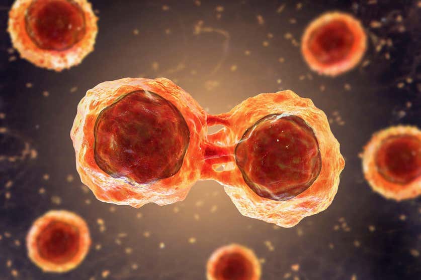 宝运莱·(中国区)官方网站