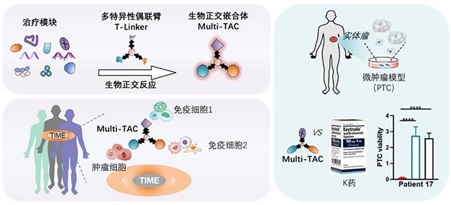 宝运莱·(中国区)官方网站