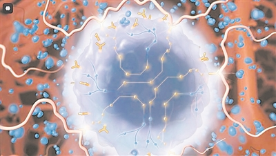 宝运莱·(中国区)官方网站