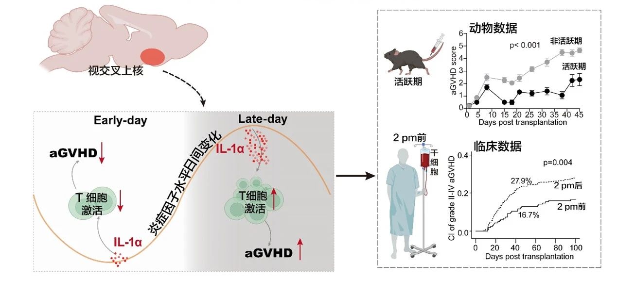 宝运莱·(中国区)官方网站