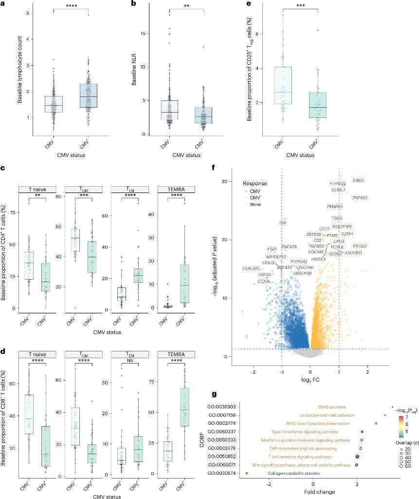 宝运莱·(中国区)官方网站