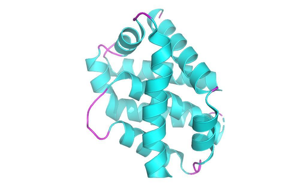 宝运莱·(中国区)官方网站
