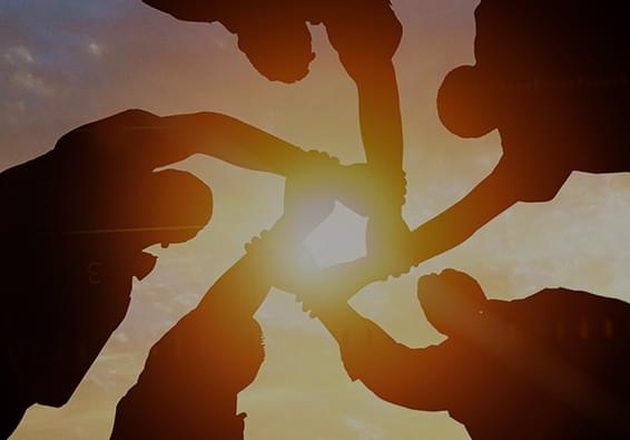 宝运莱·(中国区)官方网站