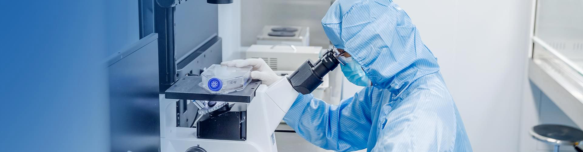 宝运莱·(中国区)官方网站