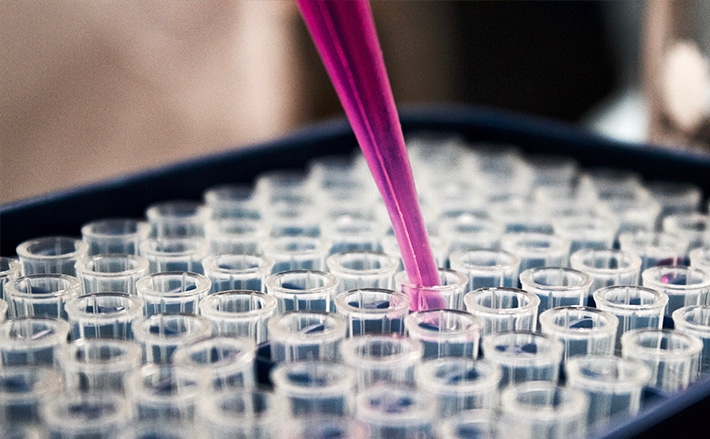 宝运莱·(中国区)官方网站