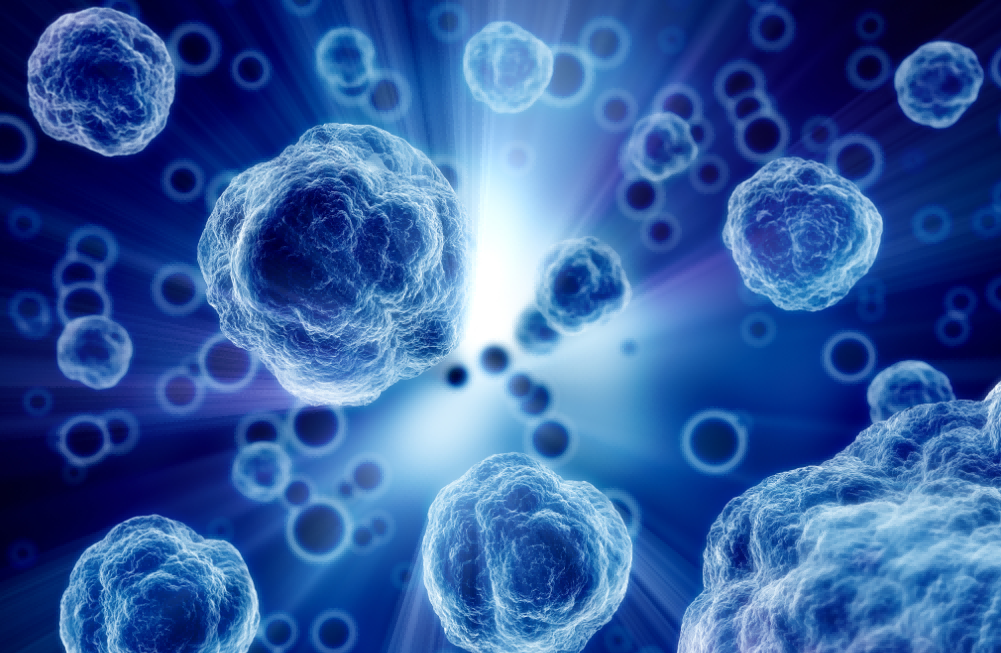 宝运莱·(中国区)官方网站